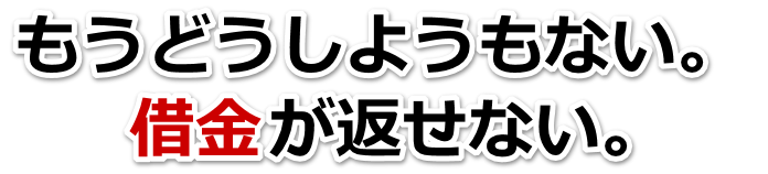 もうどうしようもない。借金が返せない。一宮市で弁護士や司法書士に無料で相談する